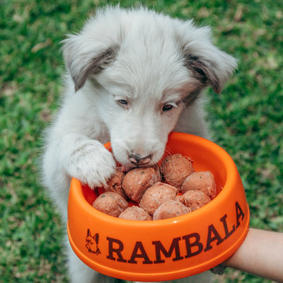 ¿Sabías que Rambala se puede consumir desde el destete?