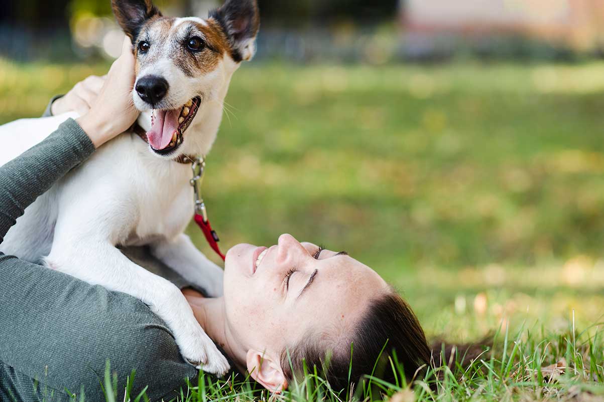 5 tips para cuidar a tu perro con dermatitis atópica