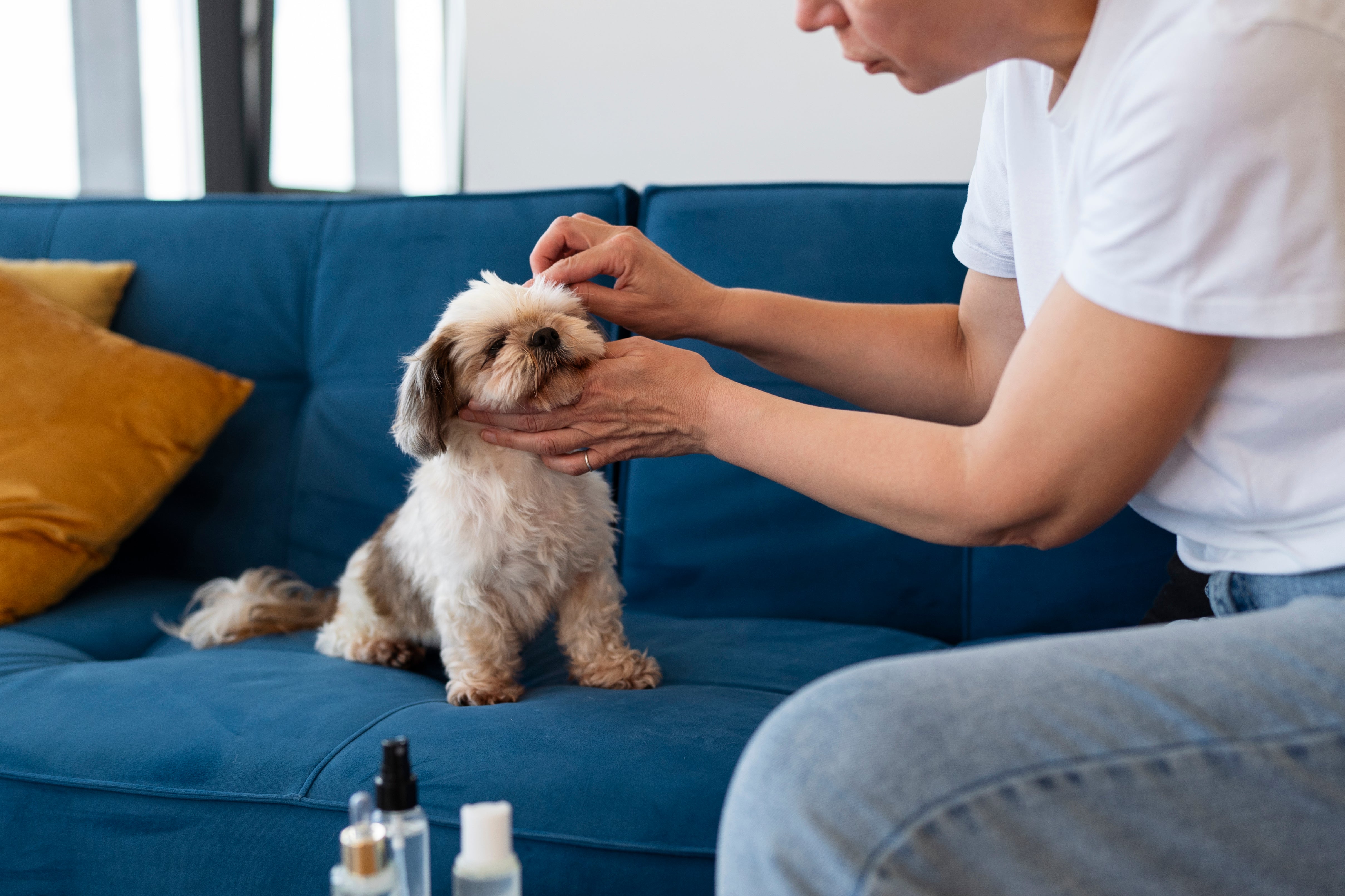 pueden los perros causar alergias a los humanos